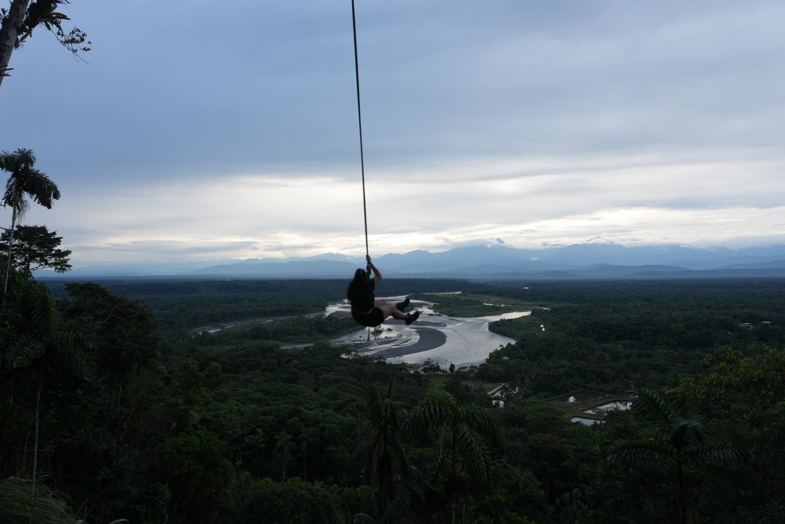 Selva